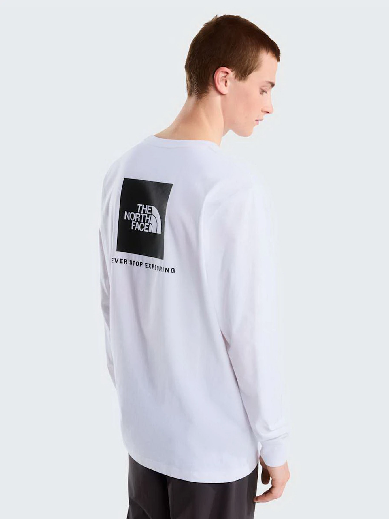 Худи и свитшоты The North Face M EVOLUTION BOX NSE REGULAR LO модель NF0A8B68FN41 Худи и свитшоты The North Face M EVOLUTION BOX NSE REGULAR LO модель NF0A8B68FN41 Фото