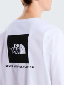 Худи и свитшоты The North Face M EVOLUTION BOX NSE REGULAR LO модель NF0A8B68FN41 Фото