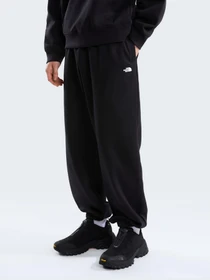 Штани The North Face M TNF ESSENTIAL SIMPLE DOME RE модель NF0A8CWCJK31 Фото