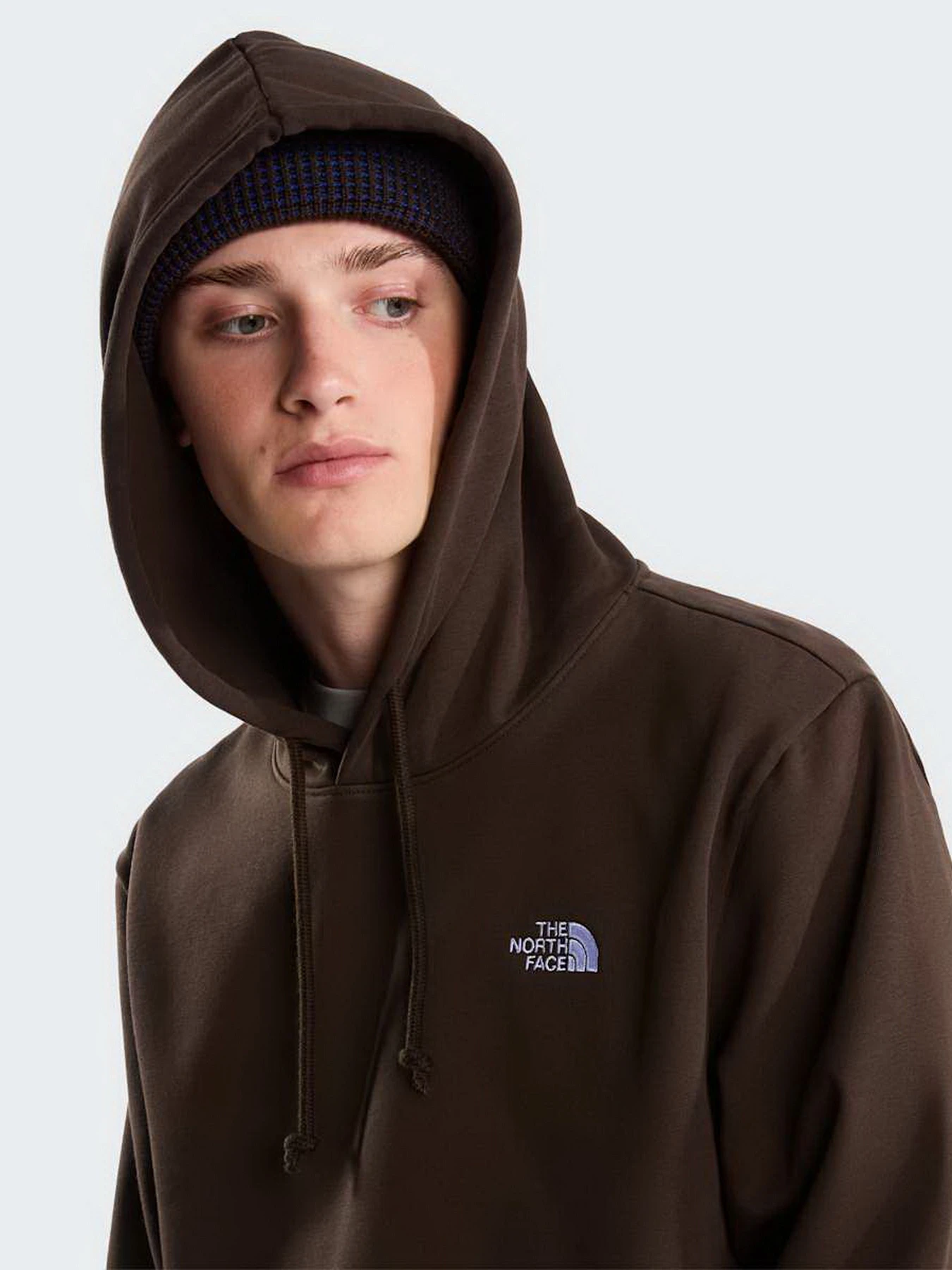 Худи и свитшоты The North Face M EVOLUTION SIMPLE DOME REGULA модель NF0A8CWMNMF1 Фото