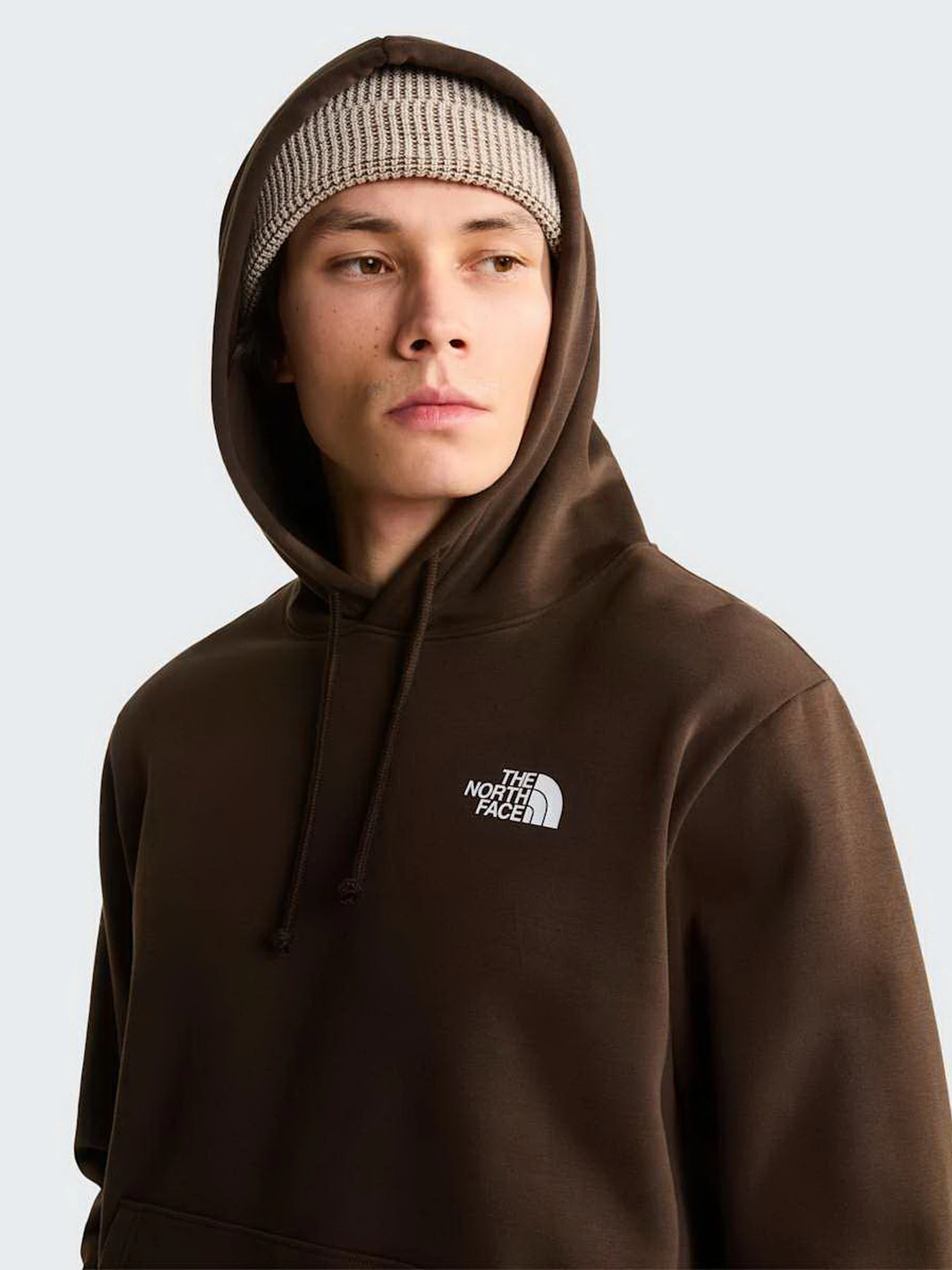 Худи и свитшоты The North Face M EVOLUTION BOX NSE REGULAR HO модель NF0A8CWPNMF1 Худи и свитшоты The North Face M EVOLUTION BOX NSE REGULAR HO модель NF0A8CWPNMF1 Фото