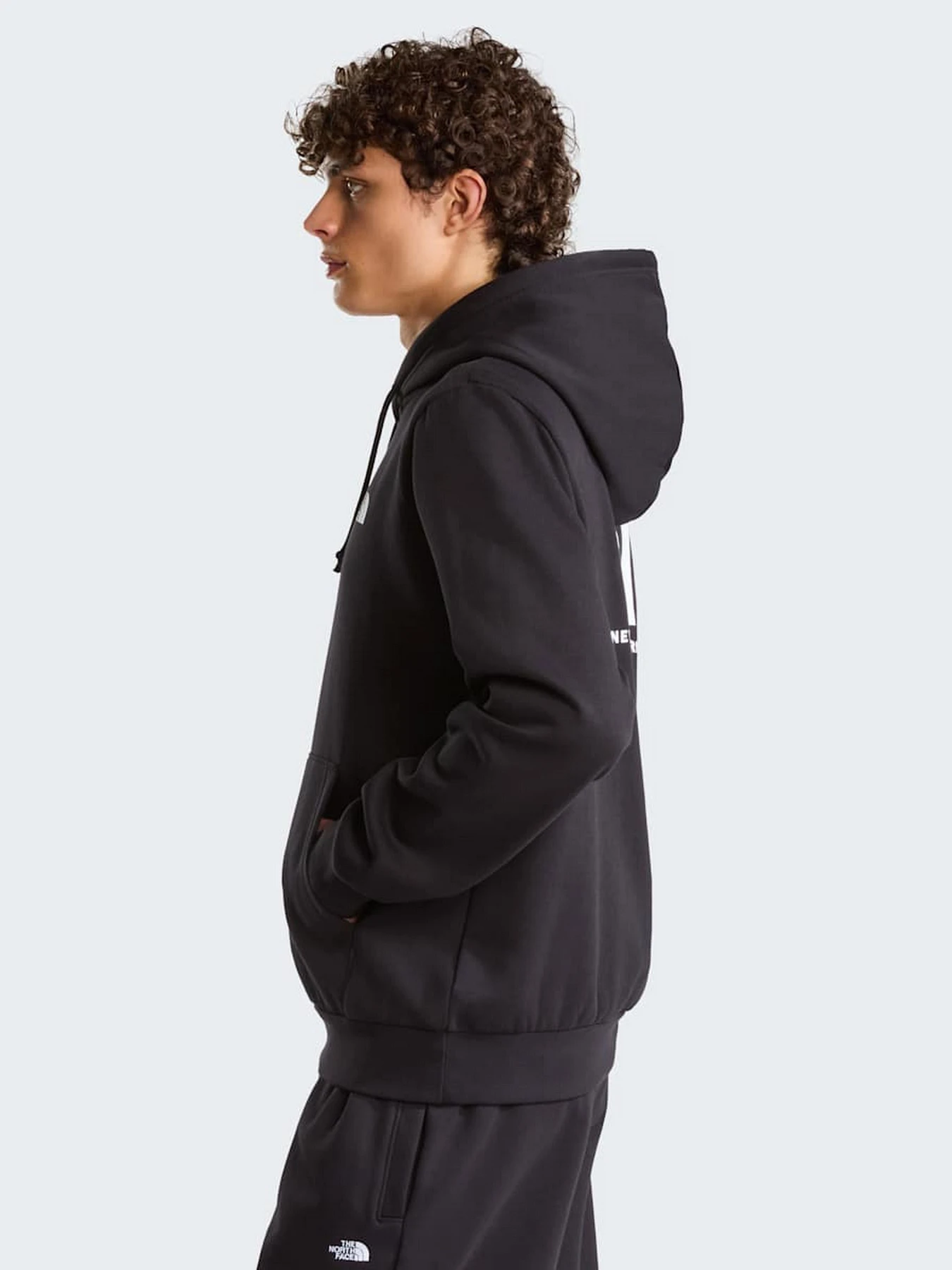 Худи и свитшоты The North Face M EVOLUTION BOX NSE REGULAR HO модель NF0A8CWPJK31 Фото