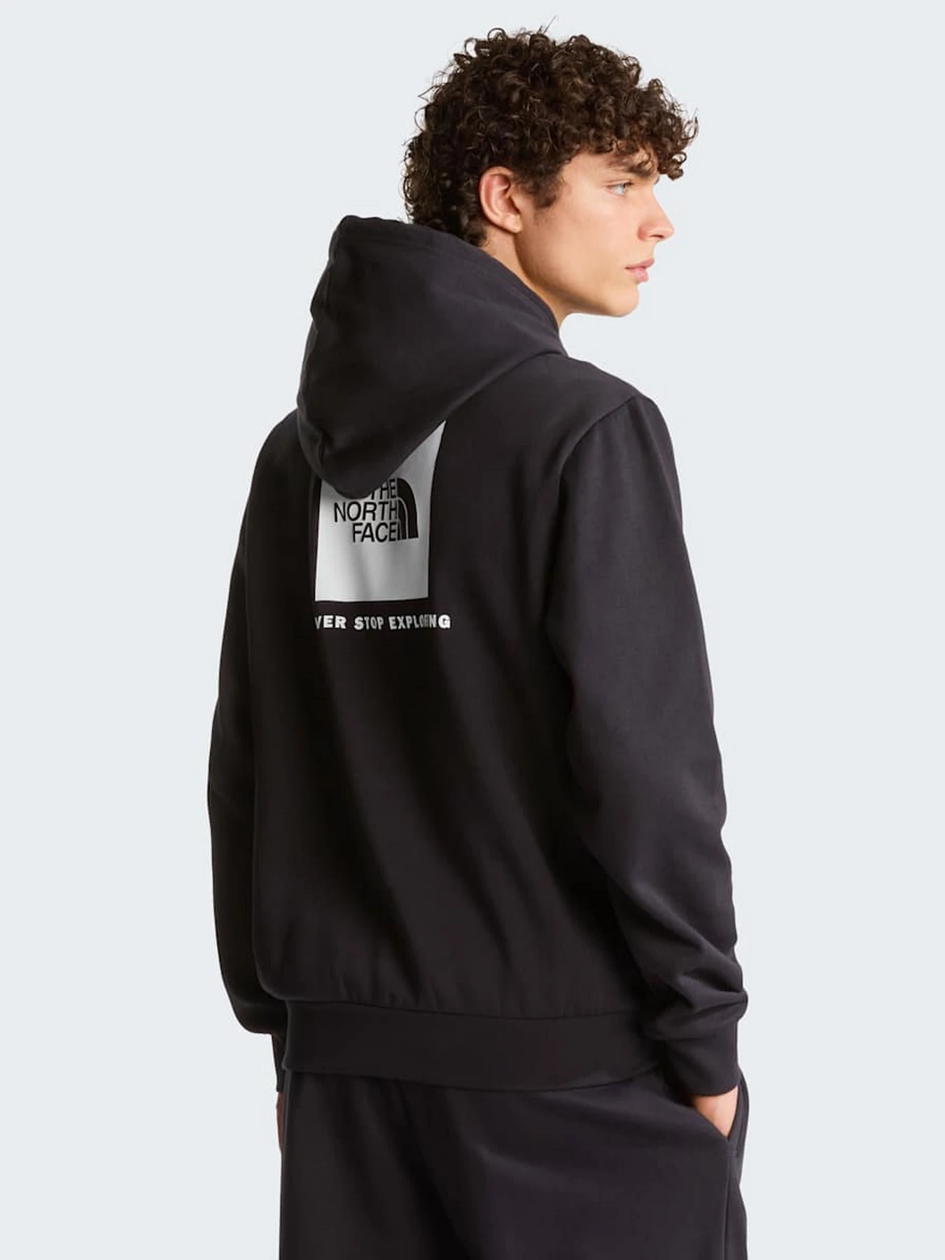 Худи и свитшоты The North Face M EVOLUTION BOX NSE REGULAR HO модель NF0A8CWPJK31 Фото