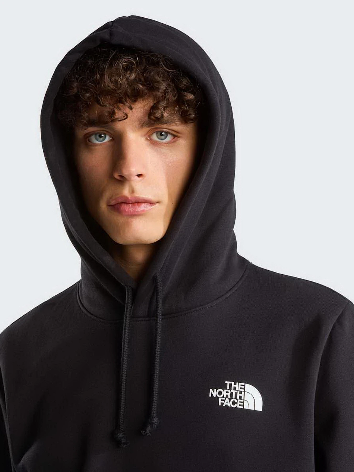 Худи и свитшоты The North Face M EVOLUTION BOX NSE REGULAR HO модель NF0A8CWPJK31 Фото