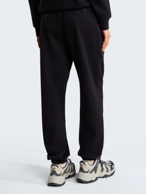 Штани The North Face W EVOLUTION SIMPLE DOME REGULA модель NF0A8CWVJK31 Фото