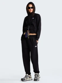 Штани The North Face W EVOLUTION SIMPLE DOME REGULA модель NF0A8CWVJK31 Фото