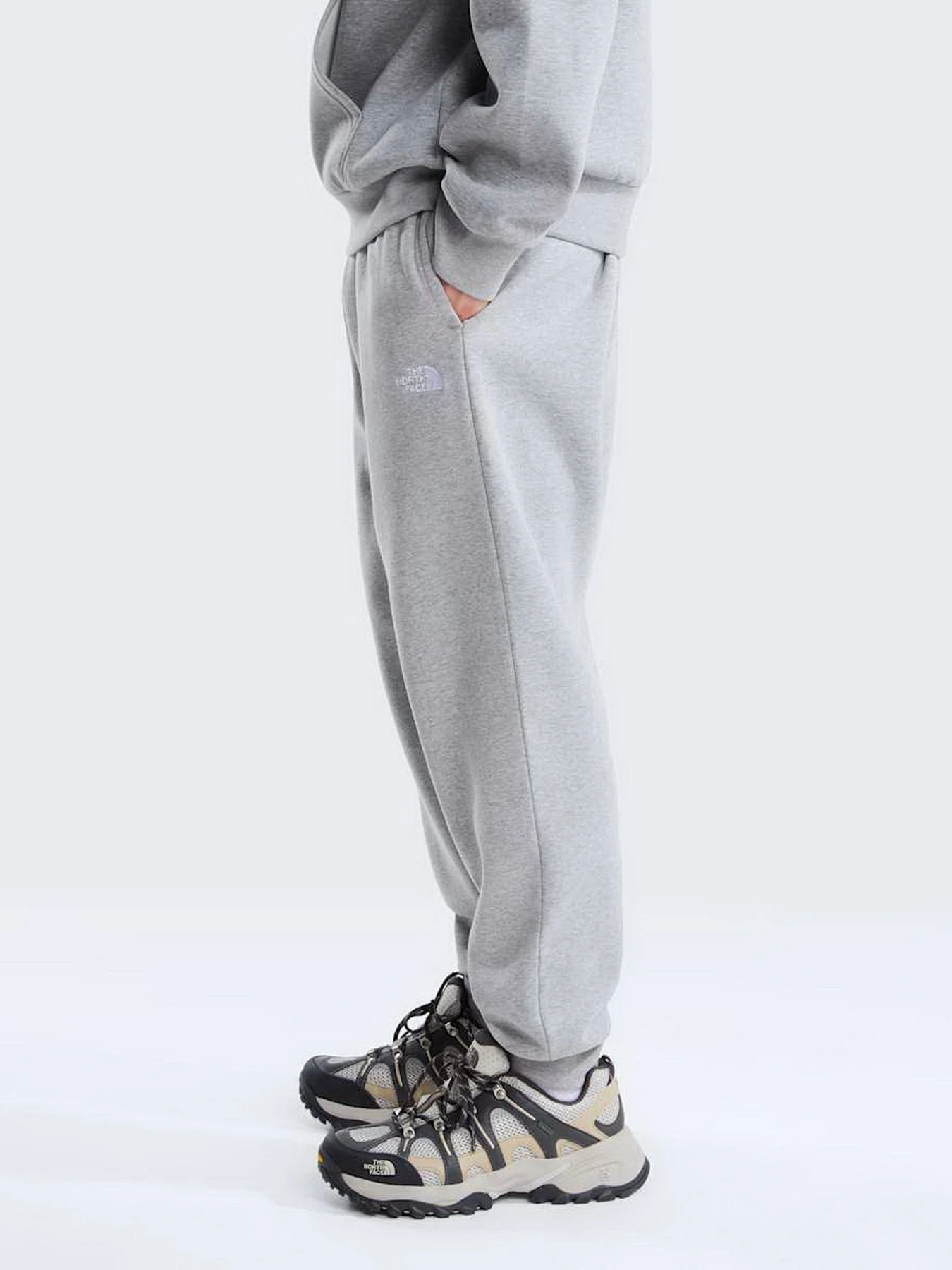Штани The North Face M EVOLUTION SIMPLE DOME REGULA модель NF0A8CWYCQO1 Фото