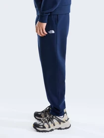 Брюки The North Face M EVOLUTION SIMPLE DOME REGULA модель NF0A8CWY8K21 Фото