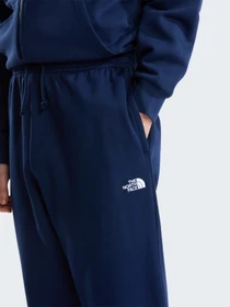 Брюки The North Face M EVOLUTION SIMPLE DOME REGULA модель NF0A8CWY8K21 Фото