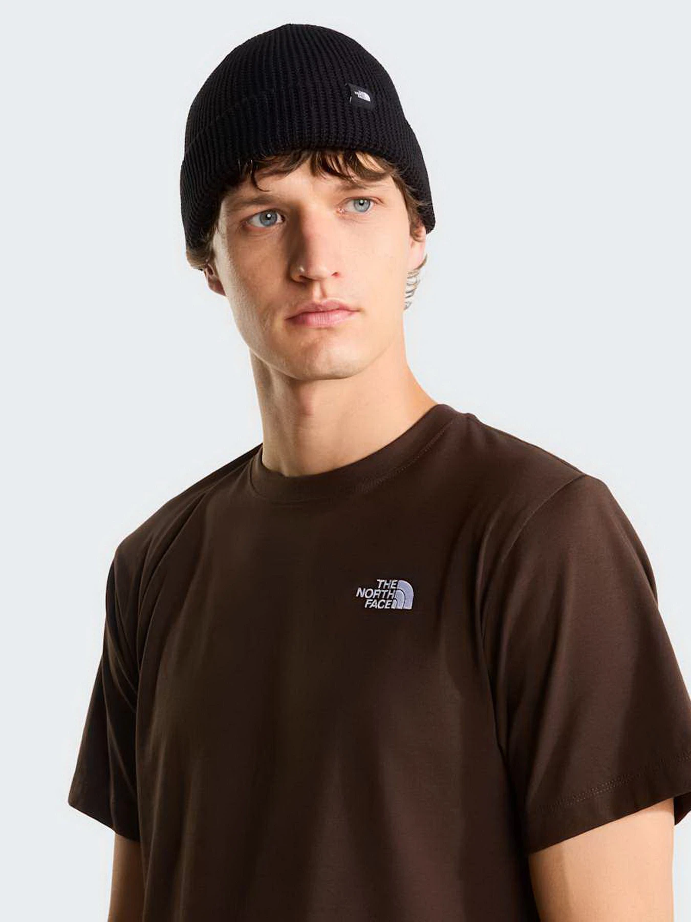 Футболки и поло The North Face M EVOLUTION SIMPLE DOME REGULA модель NF0A8CZ2NMF1 Футболки и поло The North Face M EVOLUTION SIMPLE DOME REGULA модель NF0A8CZ2NMF1 Фото