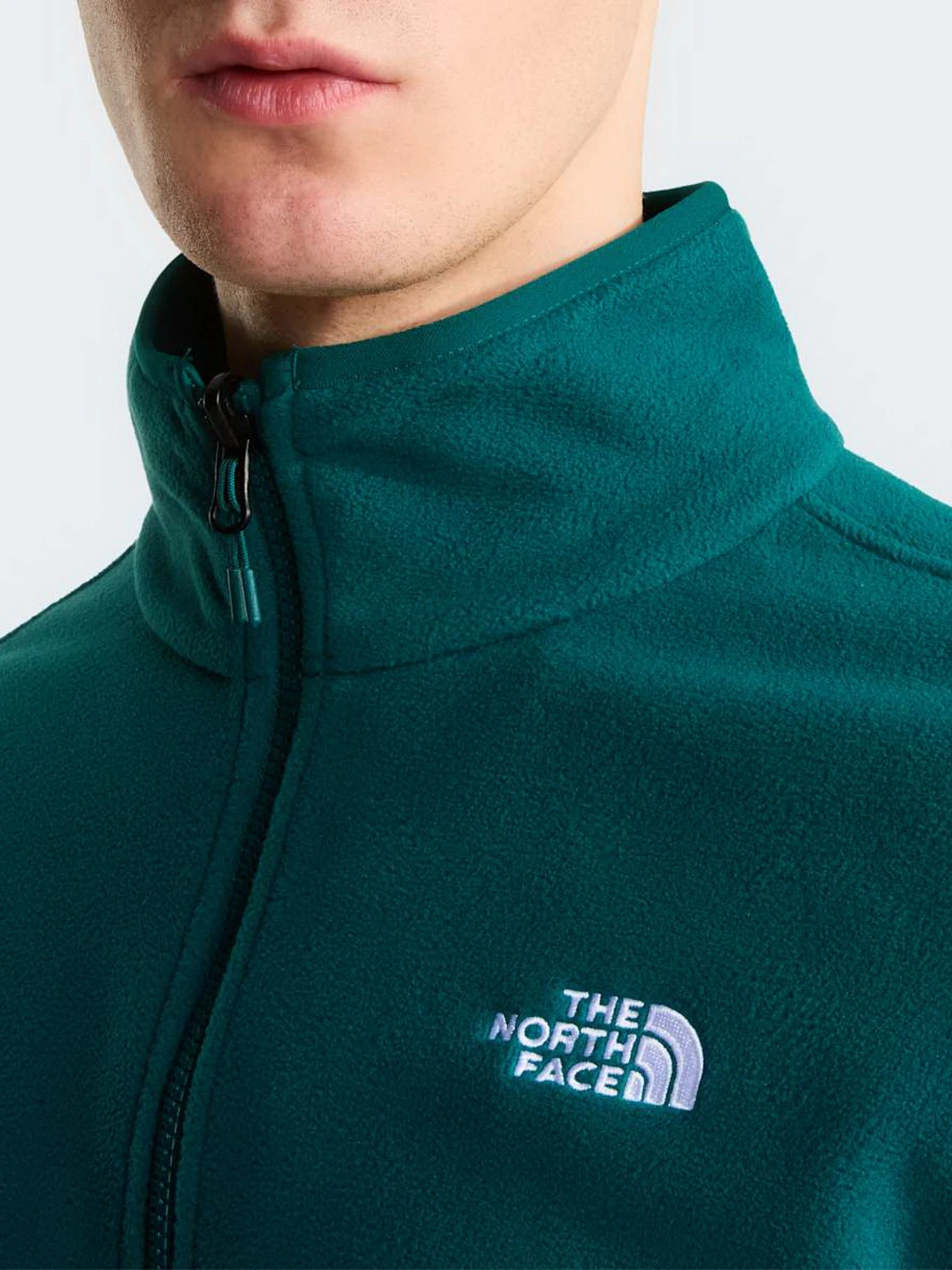 Худи и свитшоты The North Face M GLACIER FLEECE JACKET модель NF0A8D0RN4J1 Фото