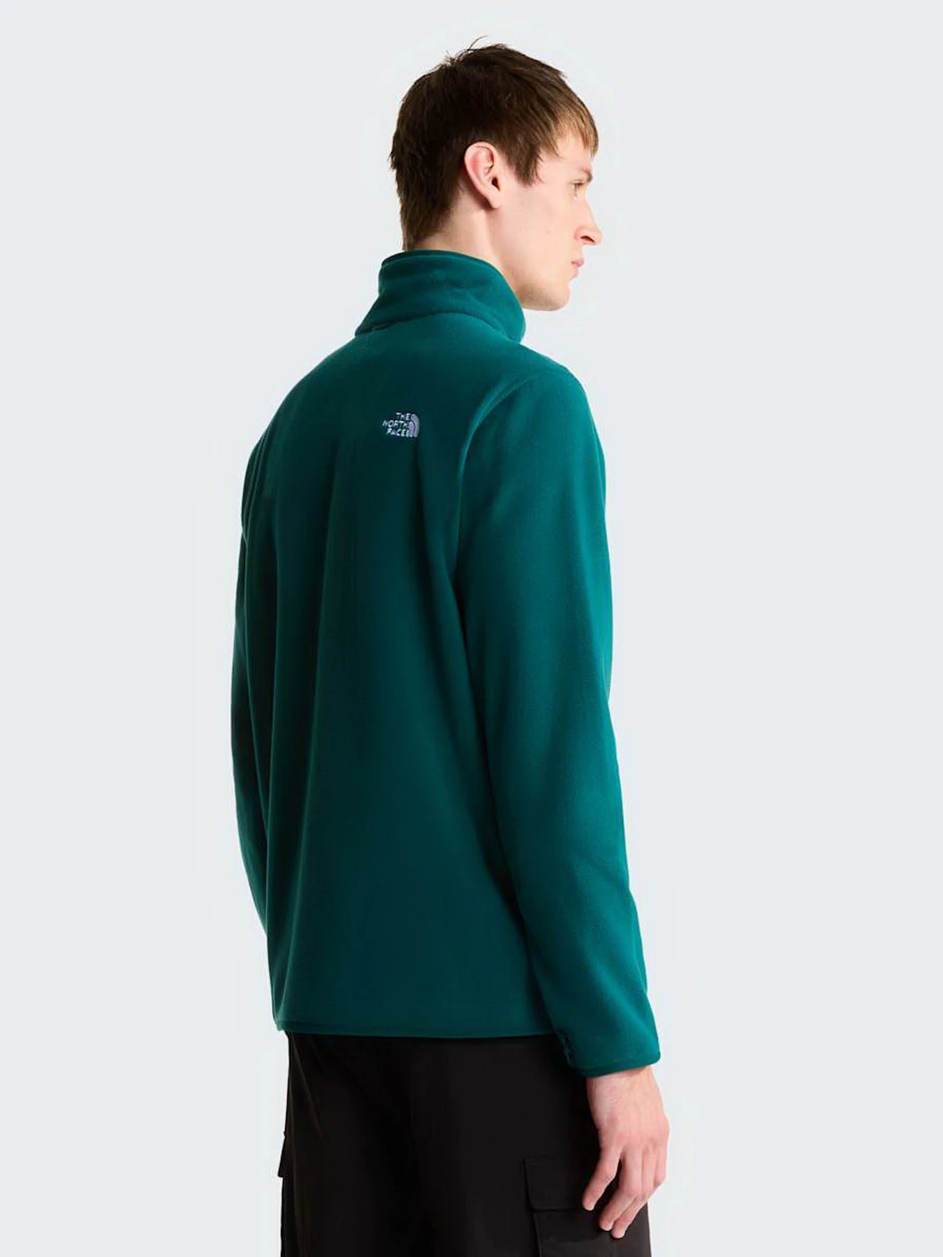 Худи и свитшоты The North Face M GLACIER FLEECE JACKET модель NF0A8D0RN4J1 Фото