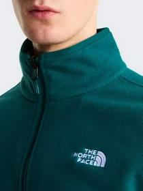 Худи и свитшоты The North Face M GLACIER FLEECE JACKET модель NF0A8D0RN4J1 Фото
