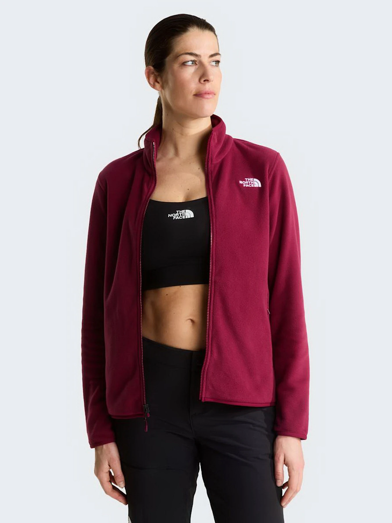 Худи и свитшоты The North Face W GLACIER FLEECE JACKET модель NF0A8D2FMVO1 Фото