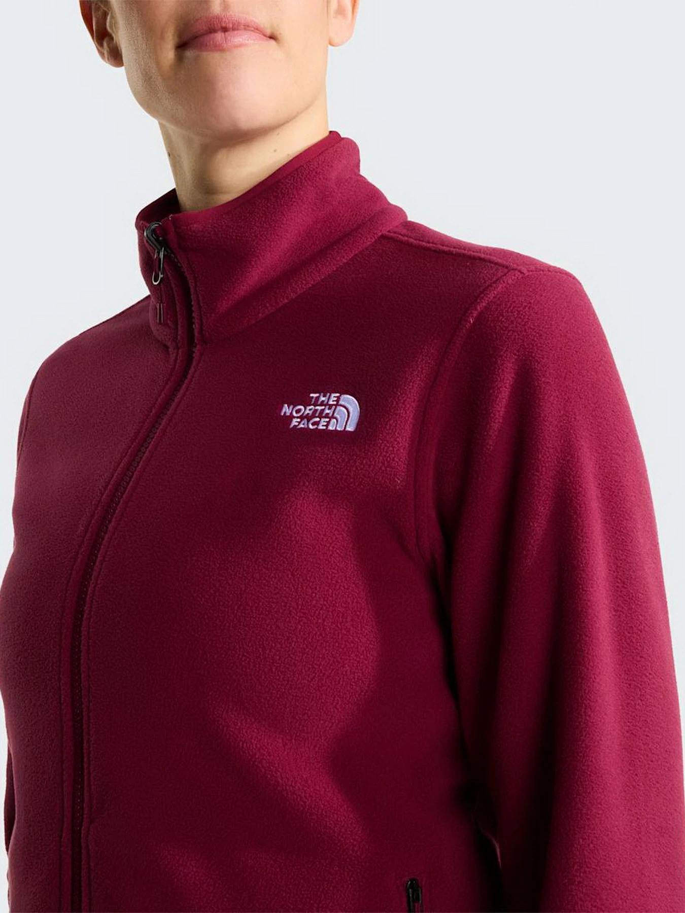 Худи и свитшоты The North Face W GLACIER FLEECE JACKET модель NF0A8D2FMVO1 Фото