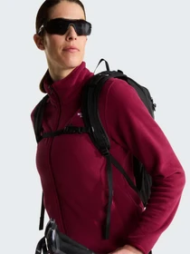 Худи и свитшоты The North Face W GLACIER FLEECE JACKET модель NF0A8D2FMVO1 Фото