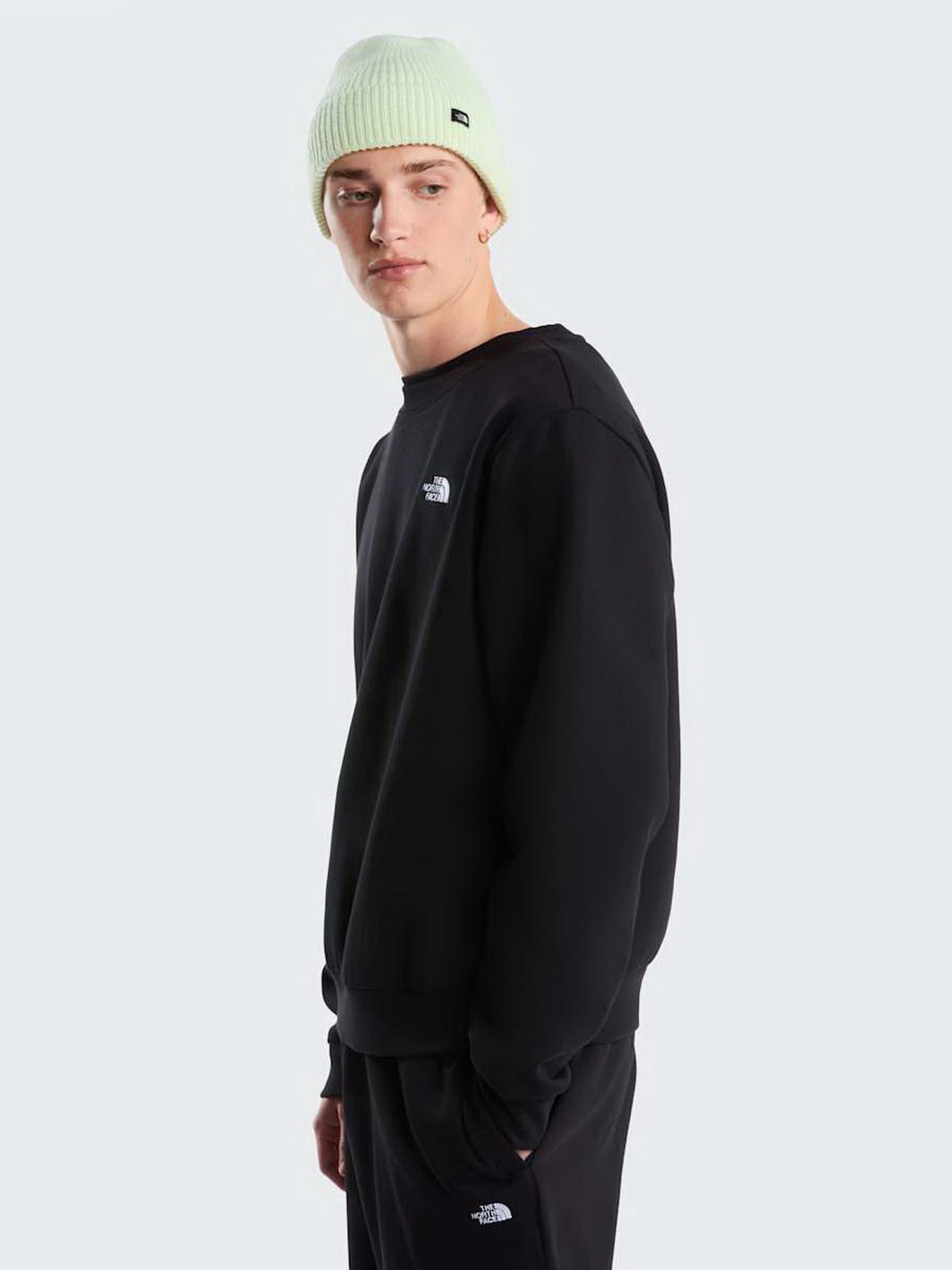 Худи и свитшоты The North Face M EVOLUTION SIMPLE DOME REGULA модель NF0A8D60JK31 Фото