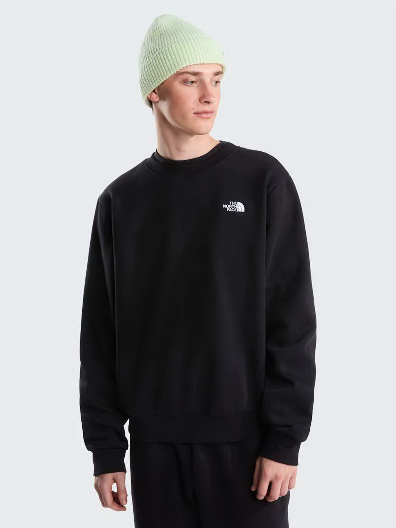 Худи и свитшоты The North Face M EVOLUTION SIMPLE DOME REGULA модель NF0A8D60JK31 Фото
