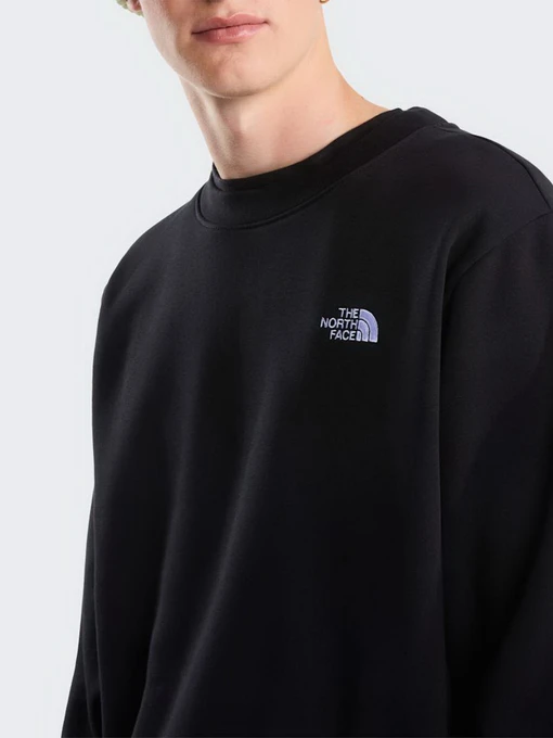 Чоловічий Світшот The North Face M EVOLUTION SIMPLE DOME REGULA фото 3