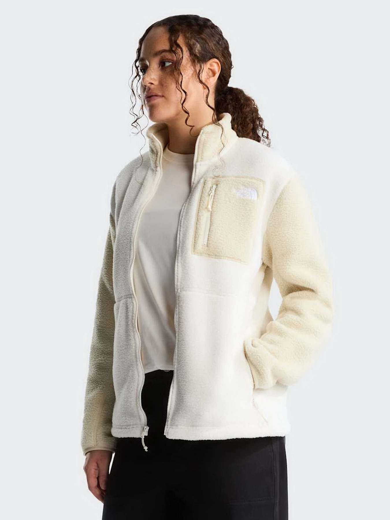 Худи и свитшоты The North Face W YUMIORI FULL ZIP модель NF0A8E88JN51 Фото