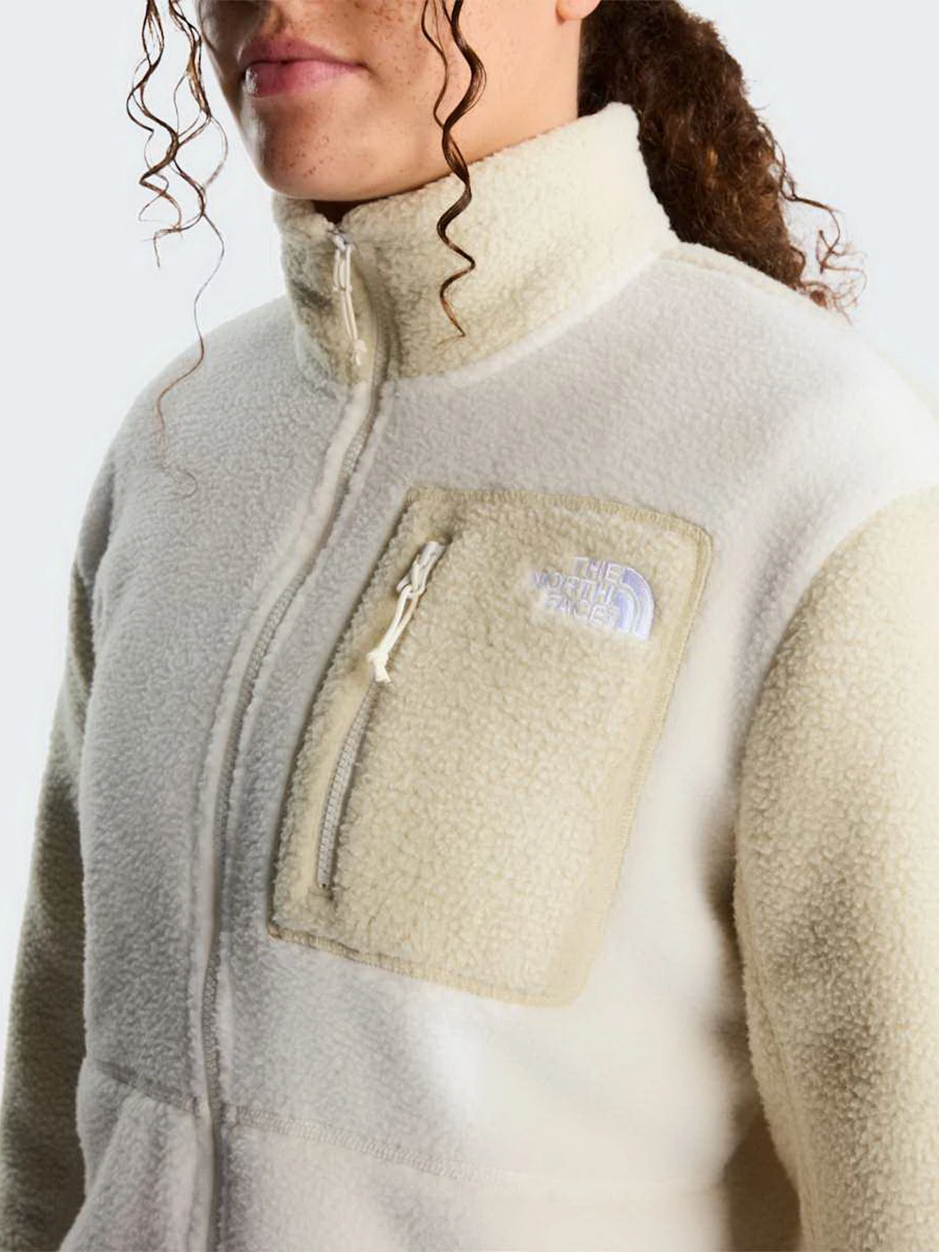 Худи и свитшоты The North Face W YUMIORI FULL ZIP модель NF0A8E88JN51 Фото