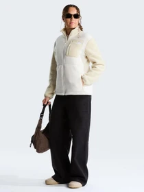 Худи и свитшоты The North Face W YUMIORI FULL ZIP модель NF0A8E88JN51 Фото