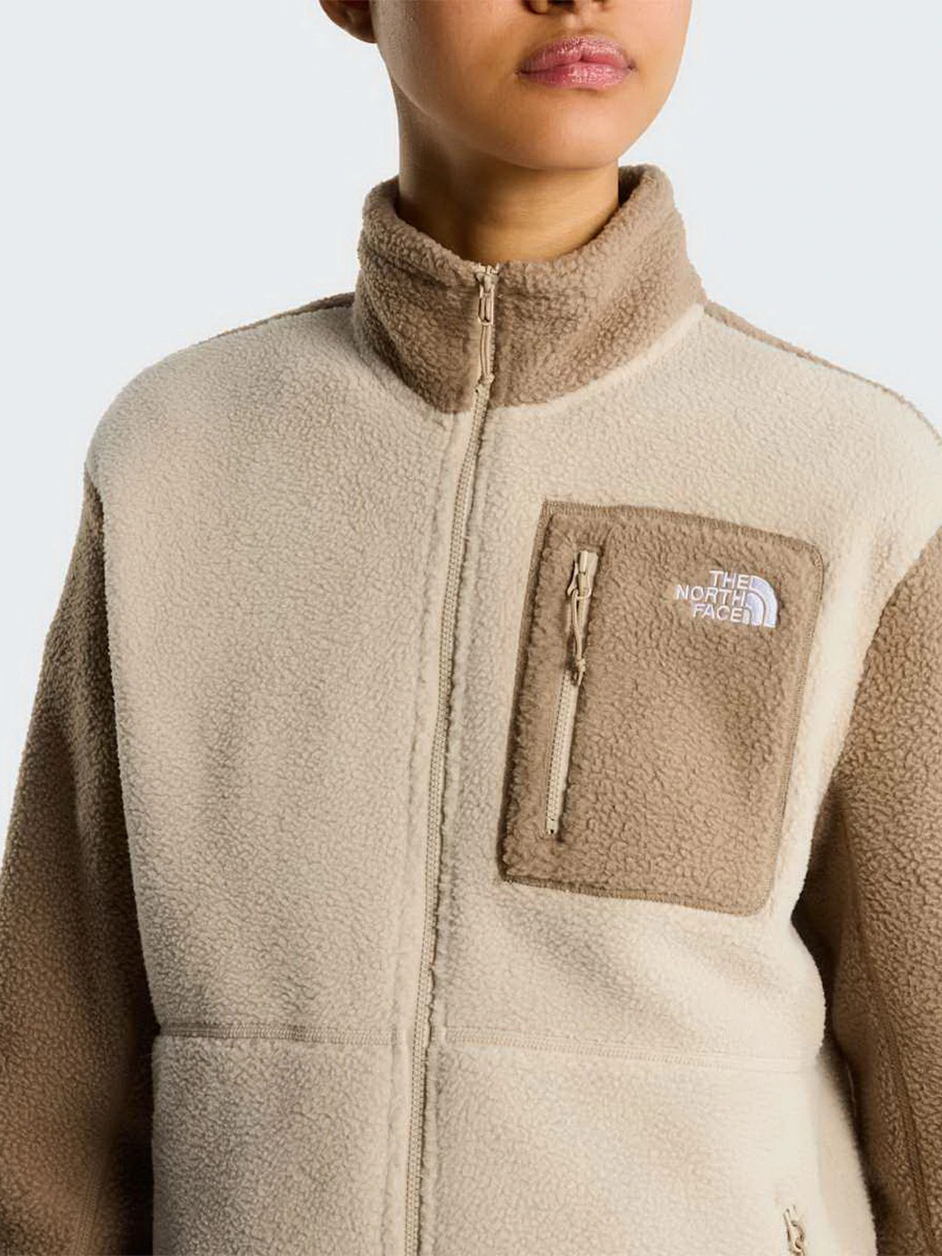 Худи и свитшоты The North Face W YUMIORI FULL ZIP модель NF0A8E88SN41 Фото