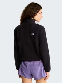 Худи и свитшоты The North Face W YUMIORI 1/4 ZIP модель NF0A8E89KX71 Фото