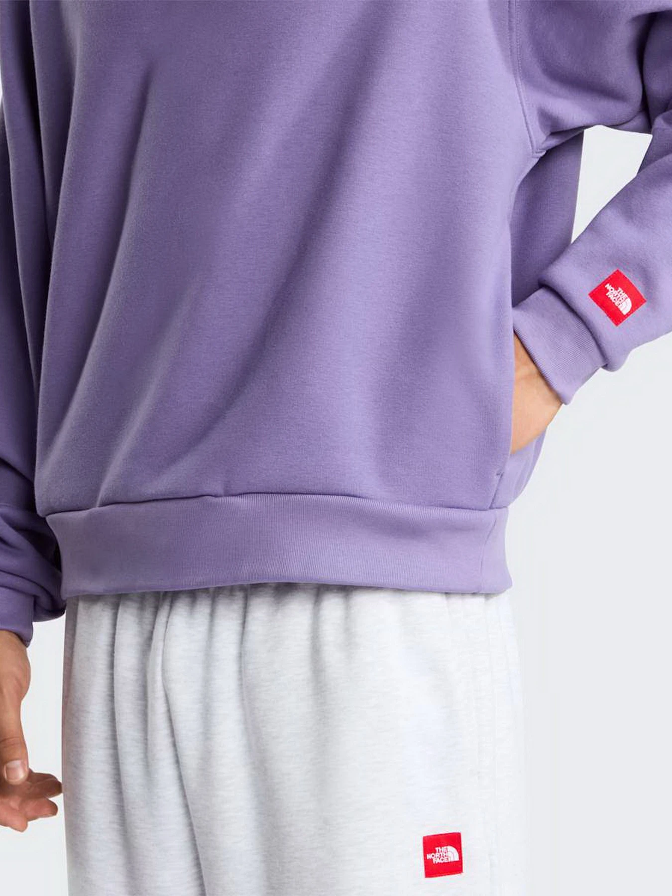 Худі та світшоти The North Face M TNF RED BOX HOODIE модель NF0A8EFZNNK1 Фото