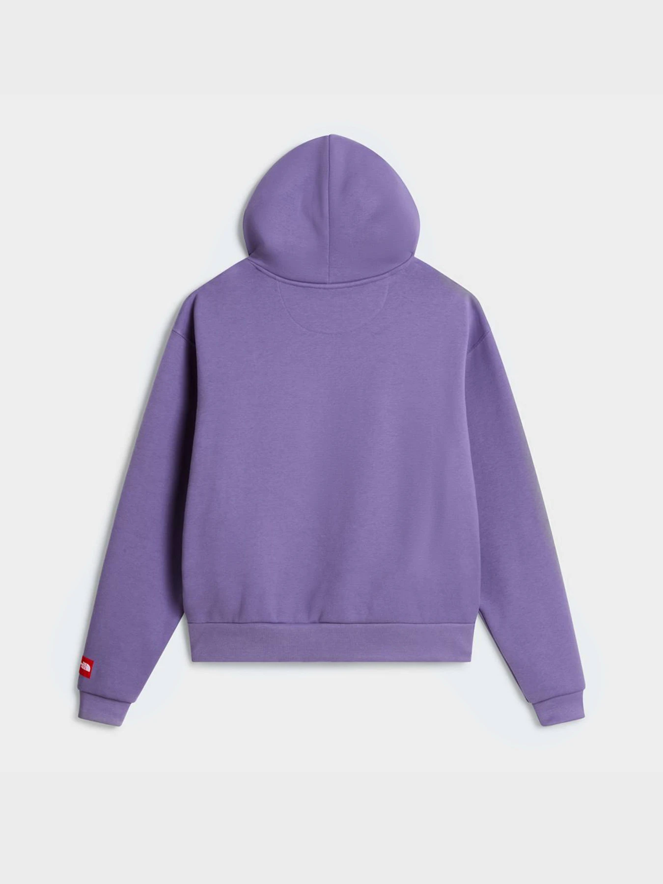 Худі та світшоти The North Face M TNF RED BOX HOODIE модель NF0A8EFZNNK1 Фото