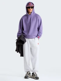 Худі та світшоти The North Face M TNF RED BOX HOODIE модель NF0A8EFZNNK1 Фото
