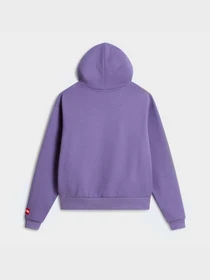 Худі та світшоти The North Face M TNF RED BOX HOODIE модель NF0A8EFZNNK1 Фото