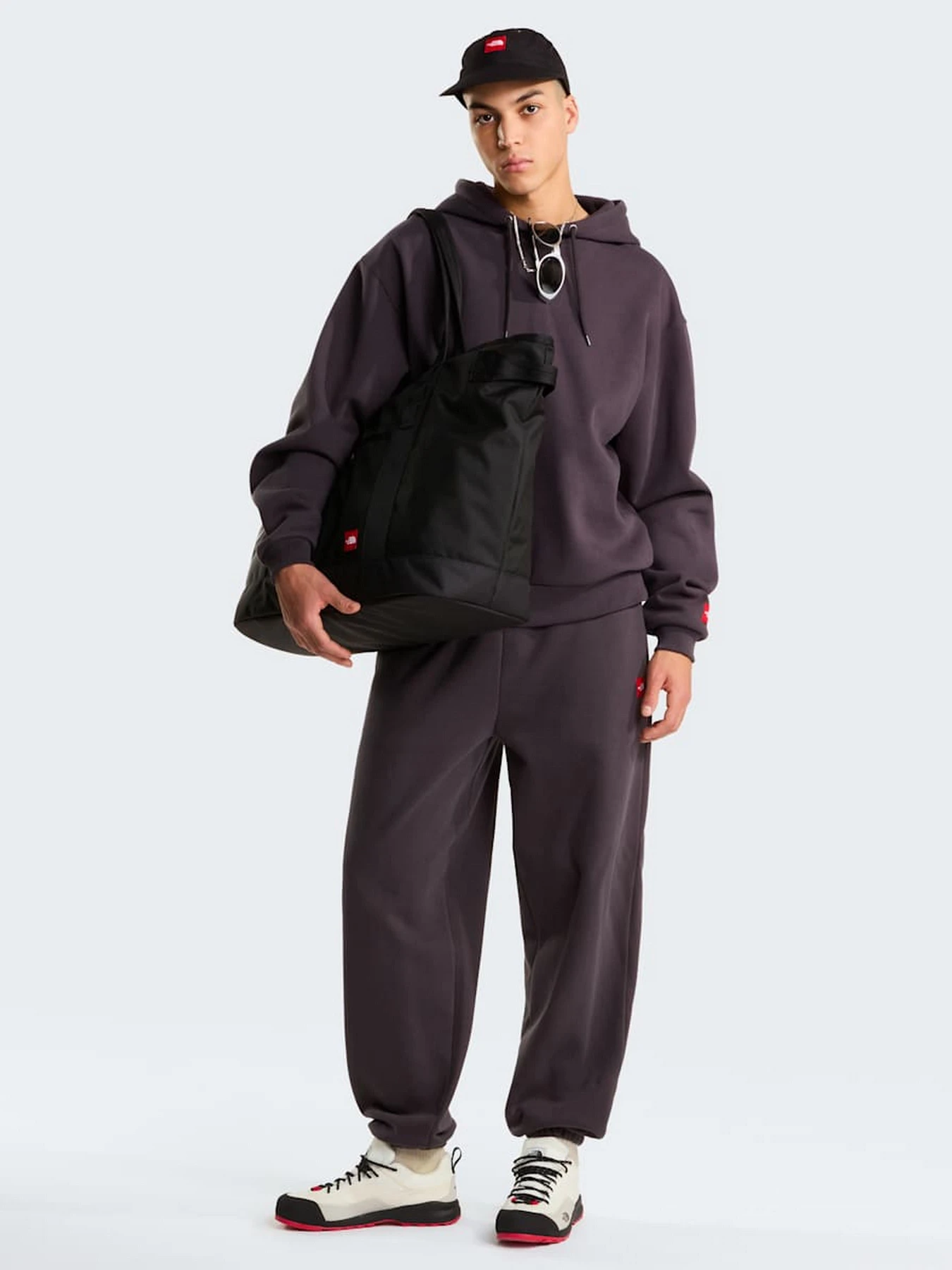 Брюки The North Face M TNF RED BOX SWEATPANTS модель NF0A8EG30SA1 Фото