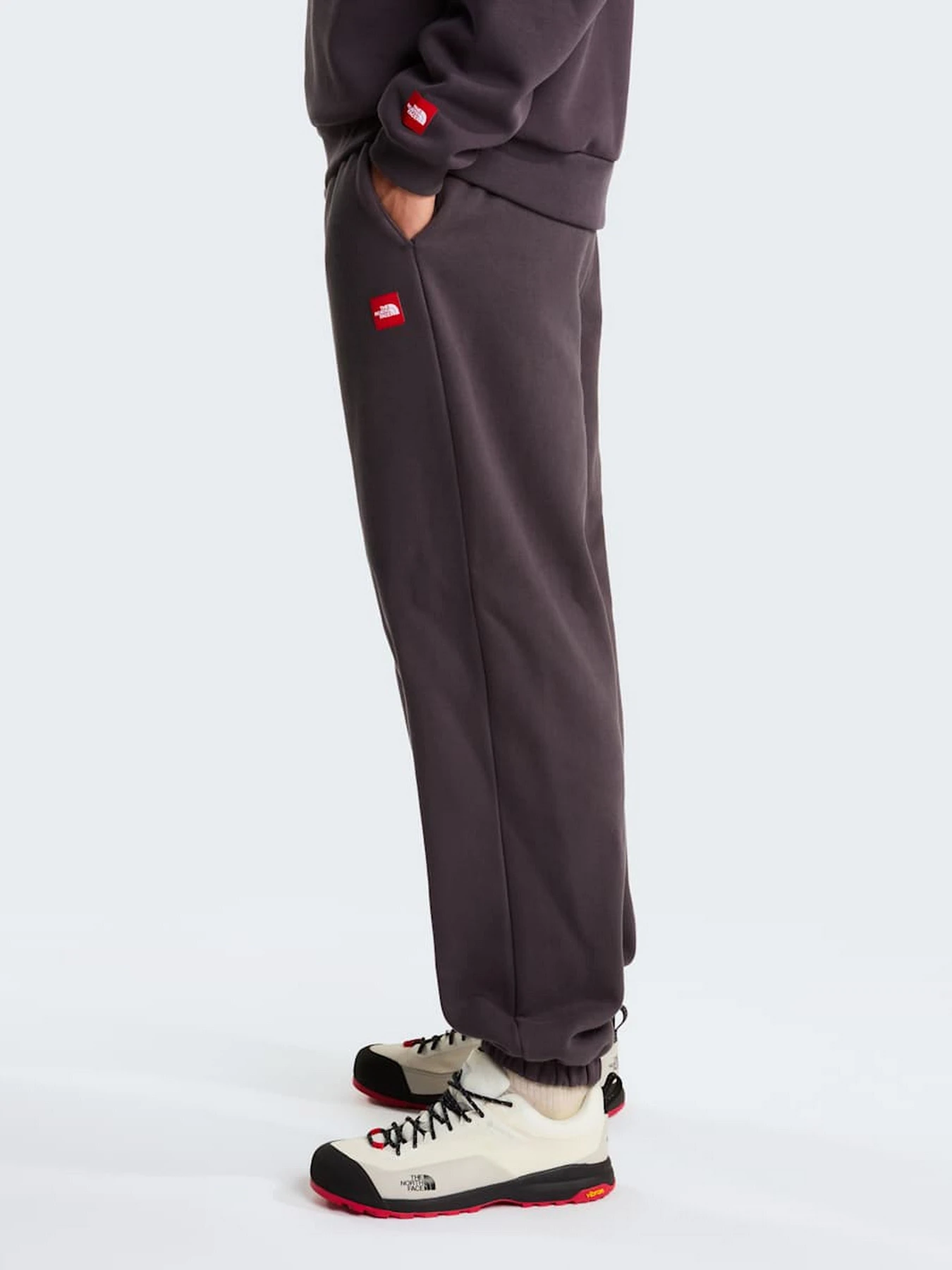 Брюки The North Face M TNF RED BOX SWEATPANTS модель NF0A8EG30SA1 Фото