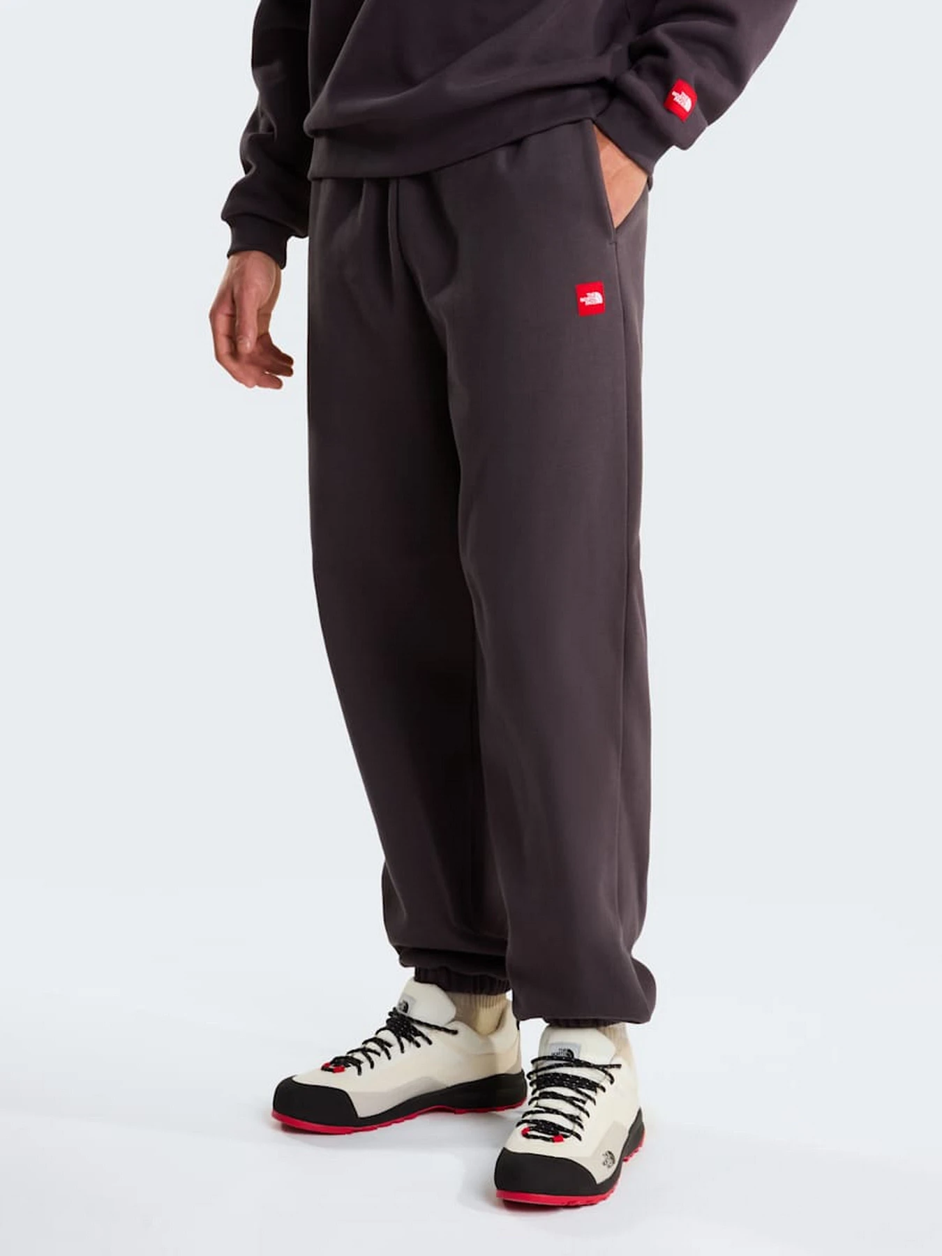 Брюки The North Face M TNF RED BOX SWEATPANTS модель NF0A8EG30SA1 Фото