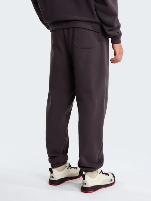 Чоловічі Повсякденні штани The North Face M TNF RED BOX SWEATPANTS фото 3