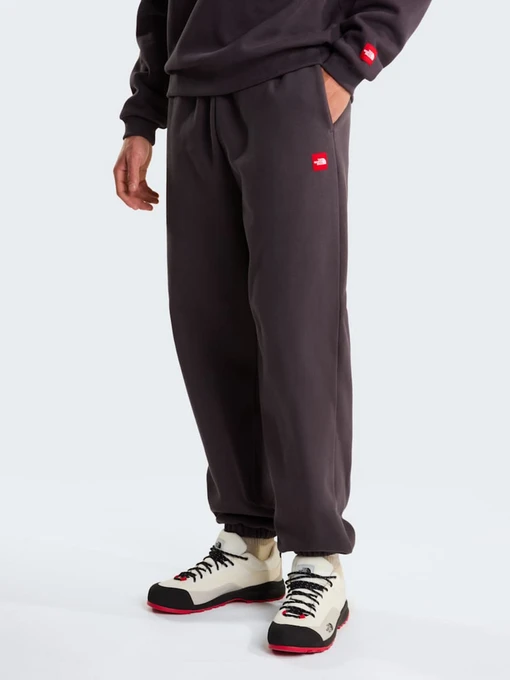 Брюки The North Face M TNF RED BOX SWEATPANTS модель NF0A8EG30SA1 Фото