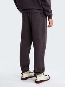 Брюки The North Face M TNF RED BOX SWEATPANTS модель NF0A8EG30SA1 Фото