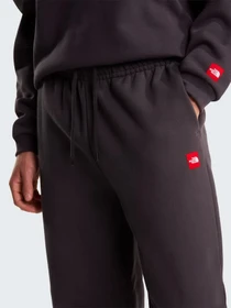 Брюки The North Face M TNF RED BOX SWEATPANTS модель NF0A8EG30SA1 Фото