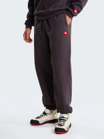 Брюки The North Face M TNF RED BOX SWEATPANTS модель NF0A8EG30SA1 Фото