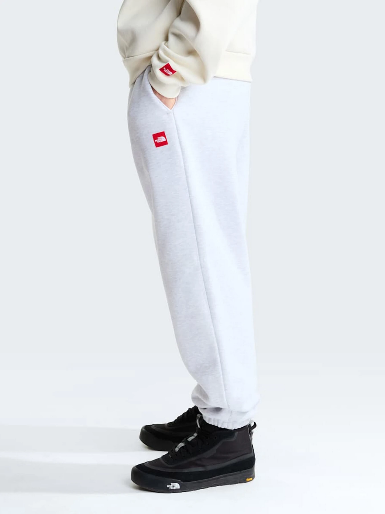 Брюки The North Face M TNF RED BOX SWEATPANTS модель NF0A8EG3E041 Фото