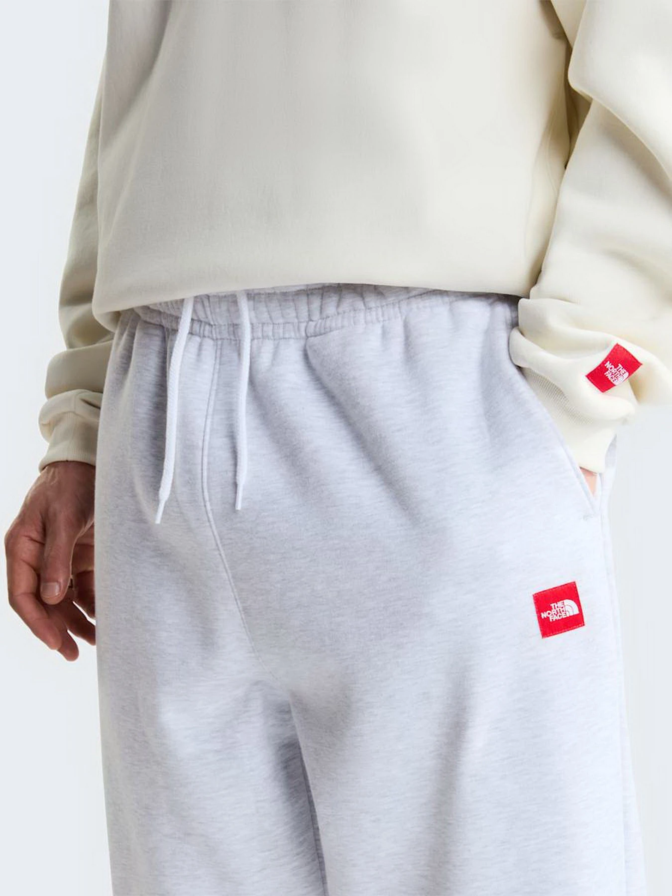 Брюки The North Face M TNF RED BOX SWEATPANTS модель NF0A8EG3E041 Фото