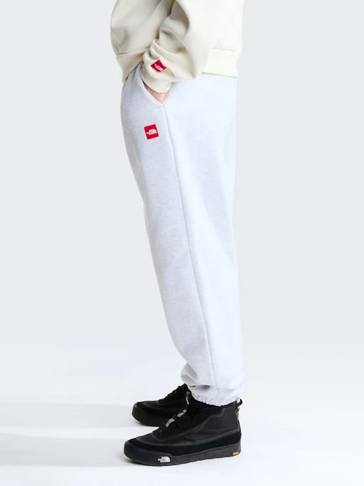 Чоловічі Повсякденні штани The North Face M TNF RED BOX SWEATPANTS фото 2