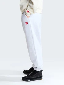 Брюки The North Face M TNF RED BOX SWEATPANTS модель NF0A8EG3E041 Фото