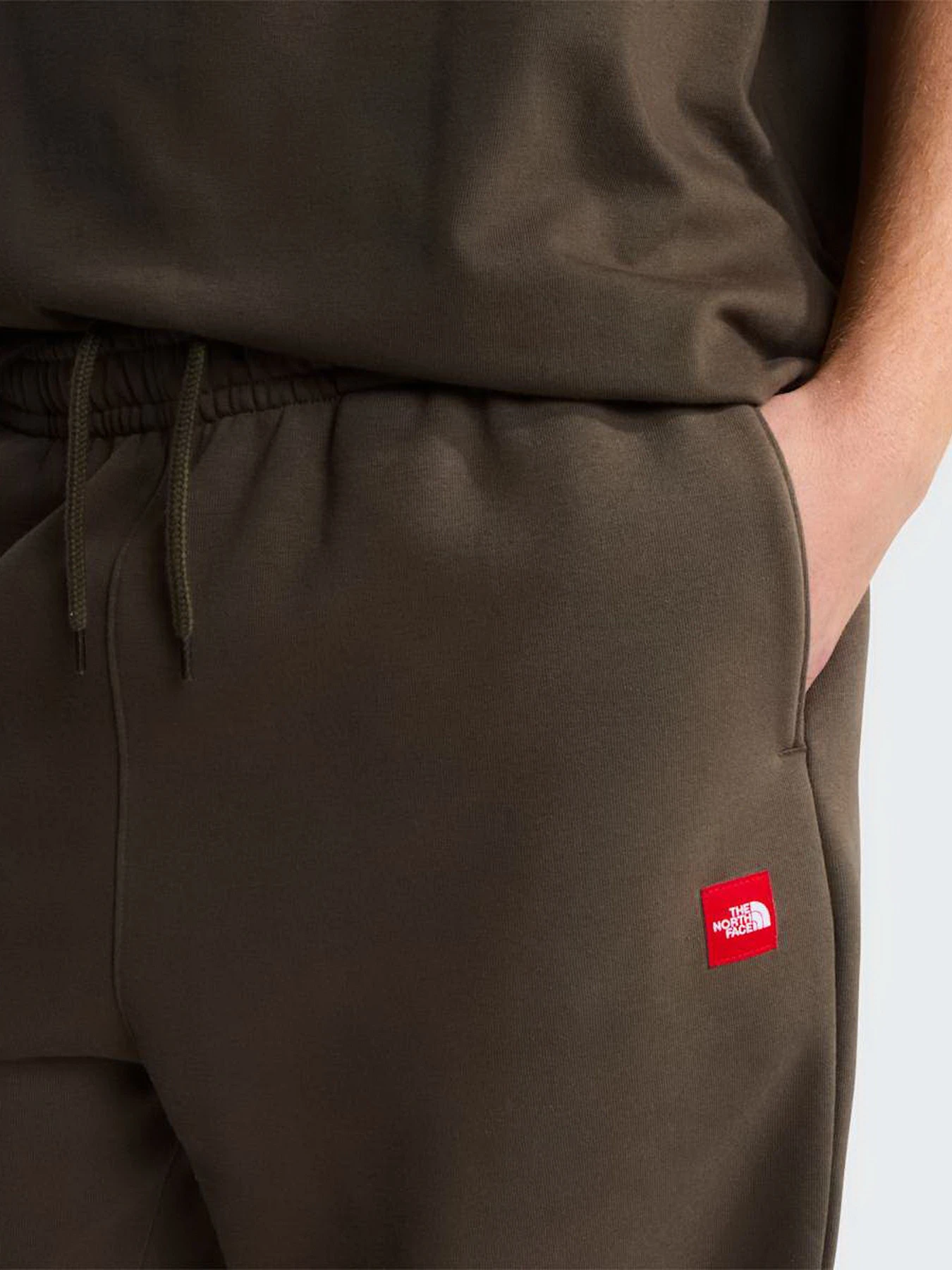 Брюки The North Face M TNF RED BOX SWEATPANTS модель NF0A8EG321L1 Фото