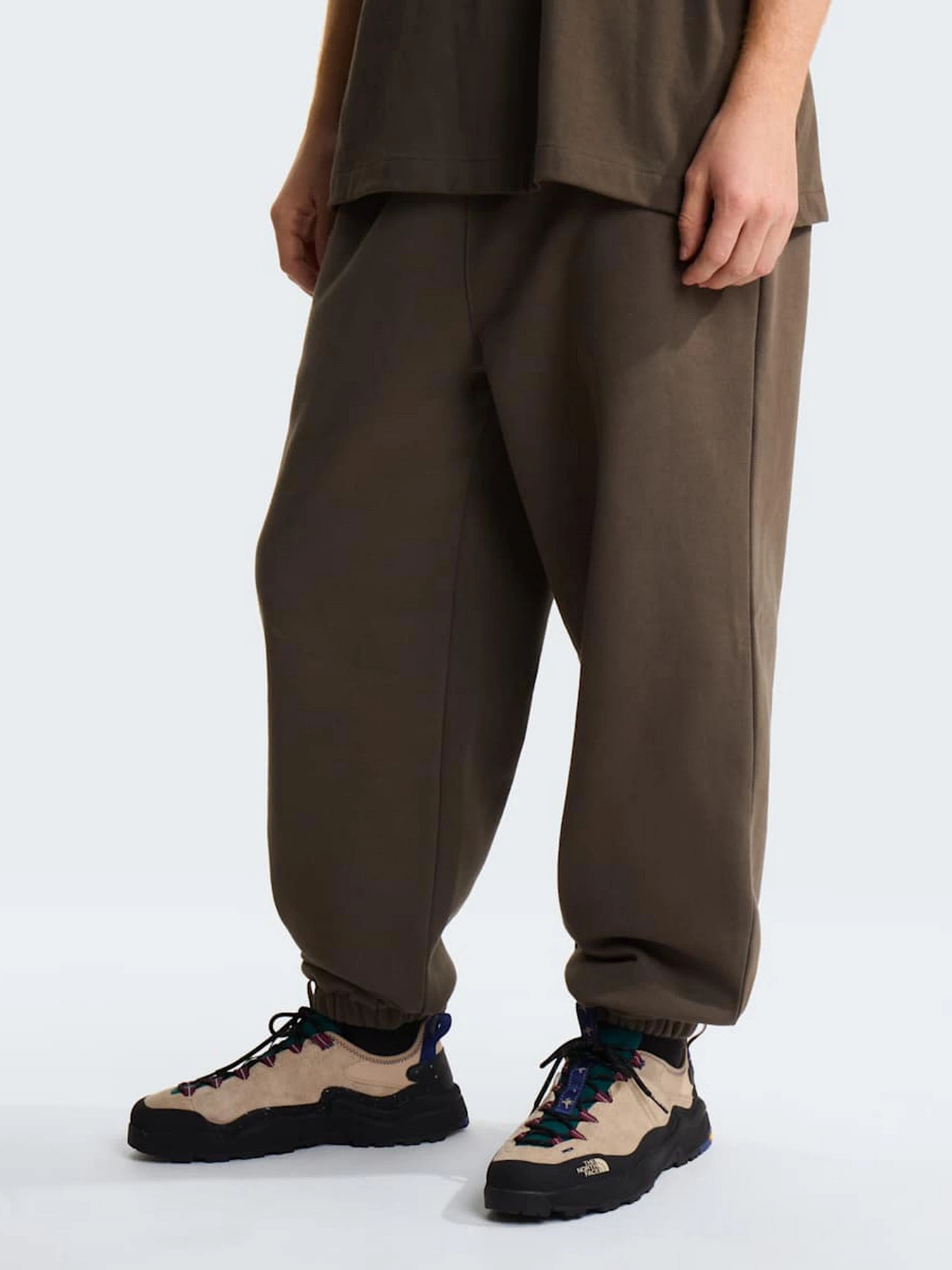 Брюки The North Face M TNF RED BOX SWEATPANTS модель NF0A8EG321L1 Фото