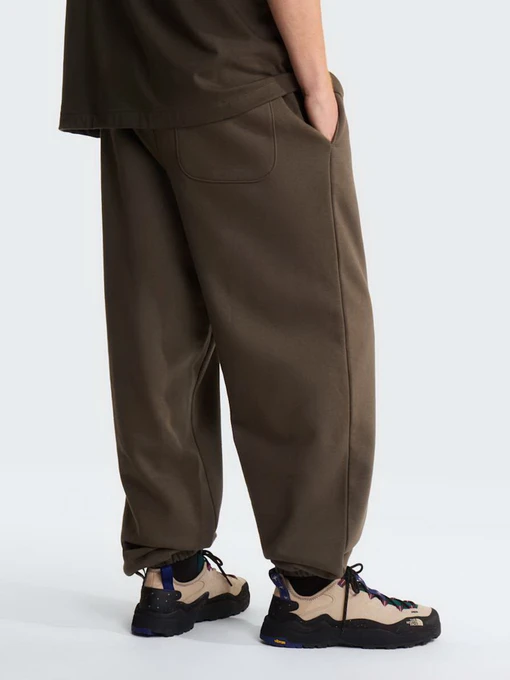 Чоловічі Повсякденні штани The North Face M TNF RED BOX SWEATPANTS фото 2