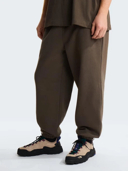 Брюки The North Face M TNF RED BOX SWEATPANTS модель NF0A8EG321L1 Фото