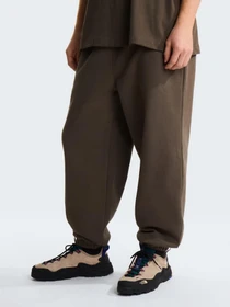 Брюки The North Face M TNF RED BOX SWEATPANTS модель NF0A8EG321L1 Фото