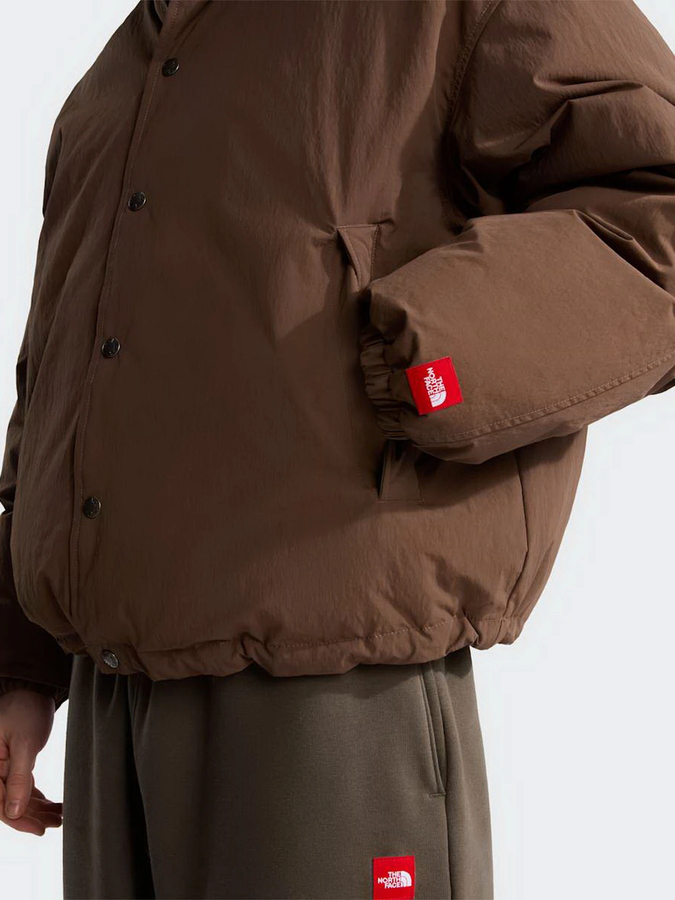 Куртки и дубленки The North Face M TNF RED BOX DOWN JACKET модель NF0A8EGB1OI1 Куртки и дубленки The North Face M TNF RED BOX DOWN JACKET модель NF0A8EGB1OI1 Фото